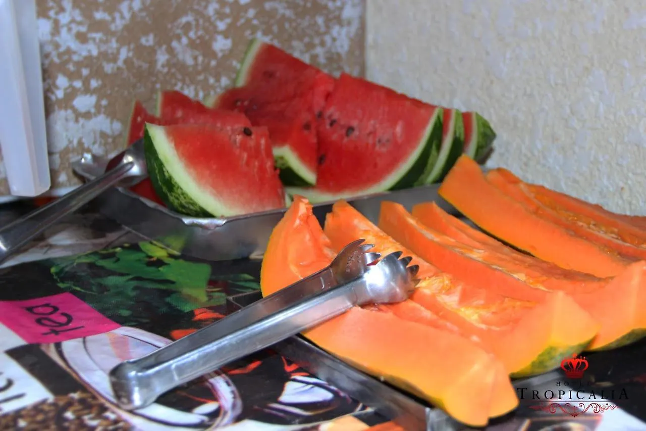 Hotel Tropicalia: Downtown Convenience with Parking Sao Paulo